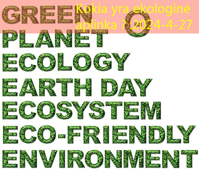 Kokia yra ekologinė aplinka？